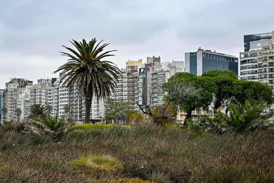 vintage uruguay photos
